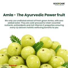 Goodcare Amla Juice 1 Litre